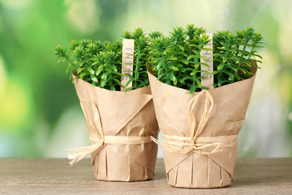 DIY party favor ideas