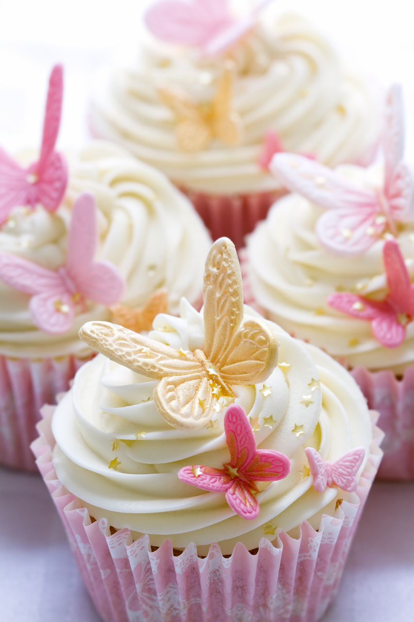 Butterfly Birthday Party
