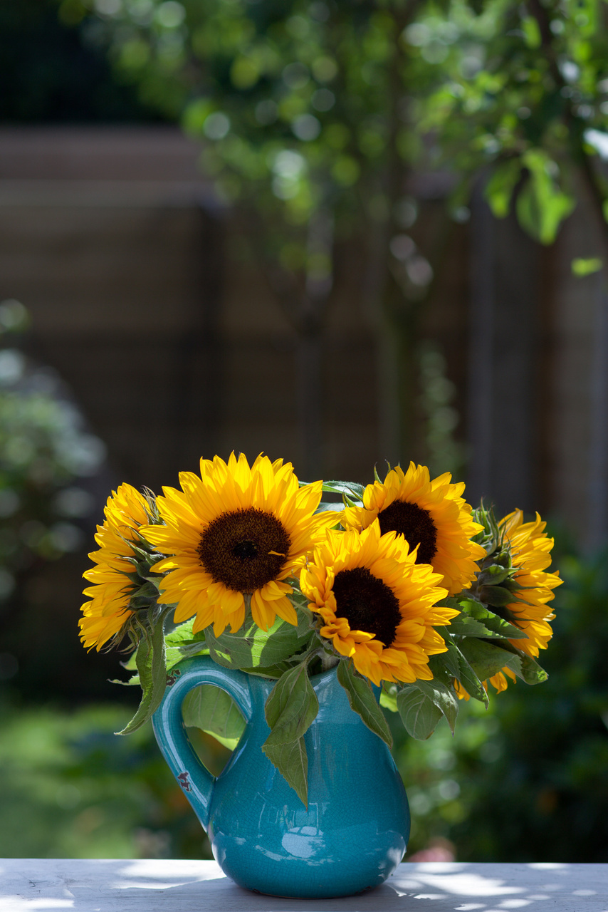 Bridal Shower Decorations